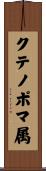 クテノポマ属 Scroll