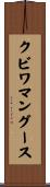 クビワマングース Scroll