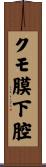 クモ膜下腔 Scroll