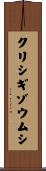 クリシギゾウムシ Scroll