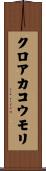 クロアカコウモリ Scroll