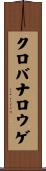 クロバナロウゲ Scroll