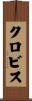 Clovis Scroll