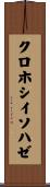クロホシイソハゼ Scroll