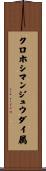クロホシマンジュウダイ属 Scroll