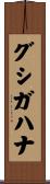 グシガハナ Scroll