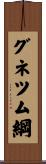 グネツム綱 Scroll
