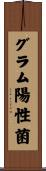 グラム陽性菌 Scroll