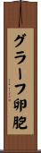 グラーフ卵胞 Scroll