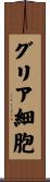 グリア細胞 Scroll