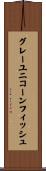 グレーユニコーンフィッシュ Scroll