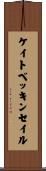ケイトベッキンセイル Scroll
