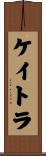 ケイトラ Scroll