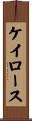 ケイロース Scroll