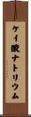 ケイ酸ナトリウム Scroll