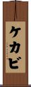 ケカビ Scroll