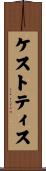 Kestutis Scroll
