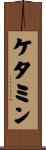 ケタミン Scroll