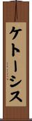 ケトーシス Scroll
