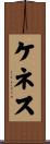 Kennith Scroll