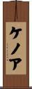ケノア Scroll