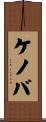 ケノバ Scroll