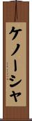 ケノーシャ Scroll