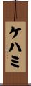 ケハミ Scroll