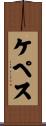 ケペス Scroll