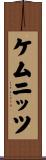 ケムニッツ Scroll