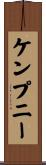 ケンプニー Scroll