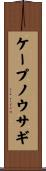 ケープノウサギ Scroll