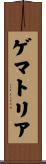 ゲマトリア Scroll