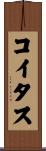 コイタス Scroll