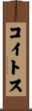 コイトス Scroll