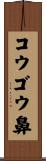 コウゴウ鼻 Scroll