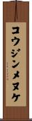 コウジンメヌケ Scroll