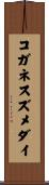 コガネスズメダイ Scroll