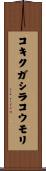 コキクガシラコウモリ Scroll