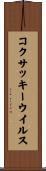 コクサッキーウイルス Scroll