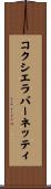 コクシエラバーネッティ Scroll