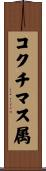 コクチマス属 Scroll