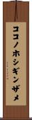 ココノホシギンザメ Scroll