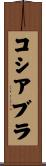 コシアブラ Scroll