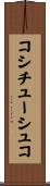 コシチューシュコ Scroll