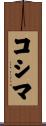 Cosima Scroll