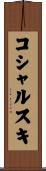 コシャルスキ Scroll