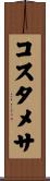 コスタメサ Scroll