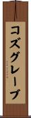 コズグレーブ Scroll