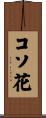 コソ花 Scroll
